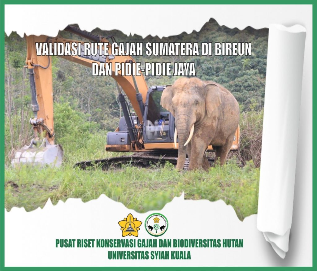Validasi Rute Gajah Sumatera di Bireun dan Pidie-Pidie Jaya