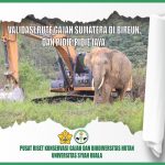 Validasi Rute Gajah Sumatera di Bireun dan Pidie-Pidie Jaya